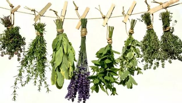 Herbes de parasites