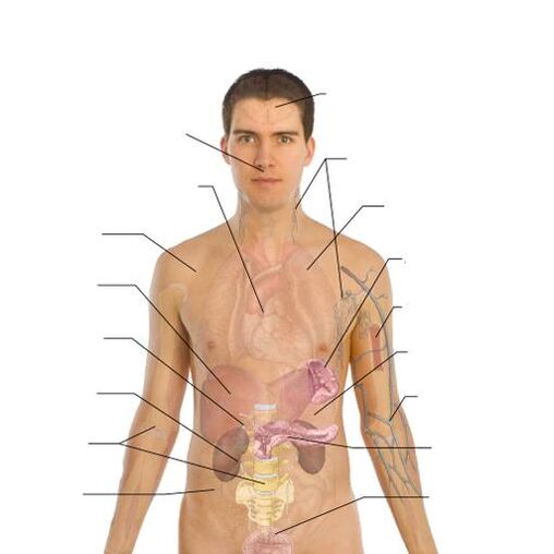 Signes de présence de parasites dans divers organes